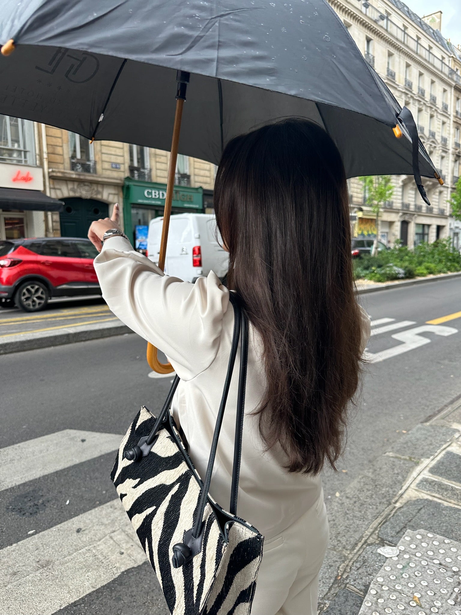 TER EAST-WEST BAG ZEBRA
